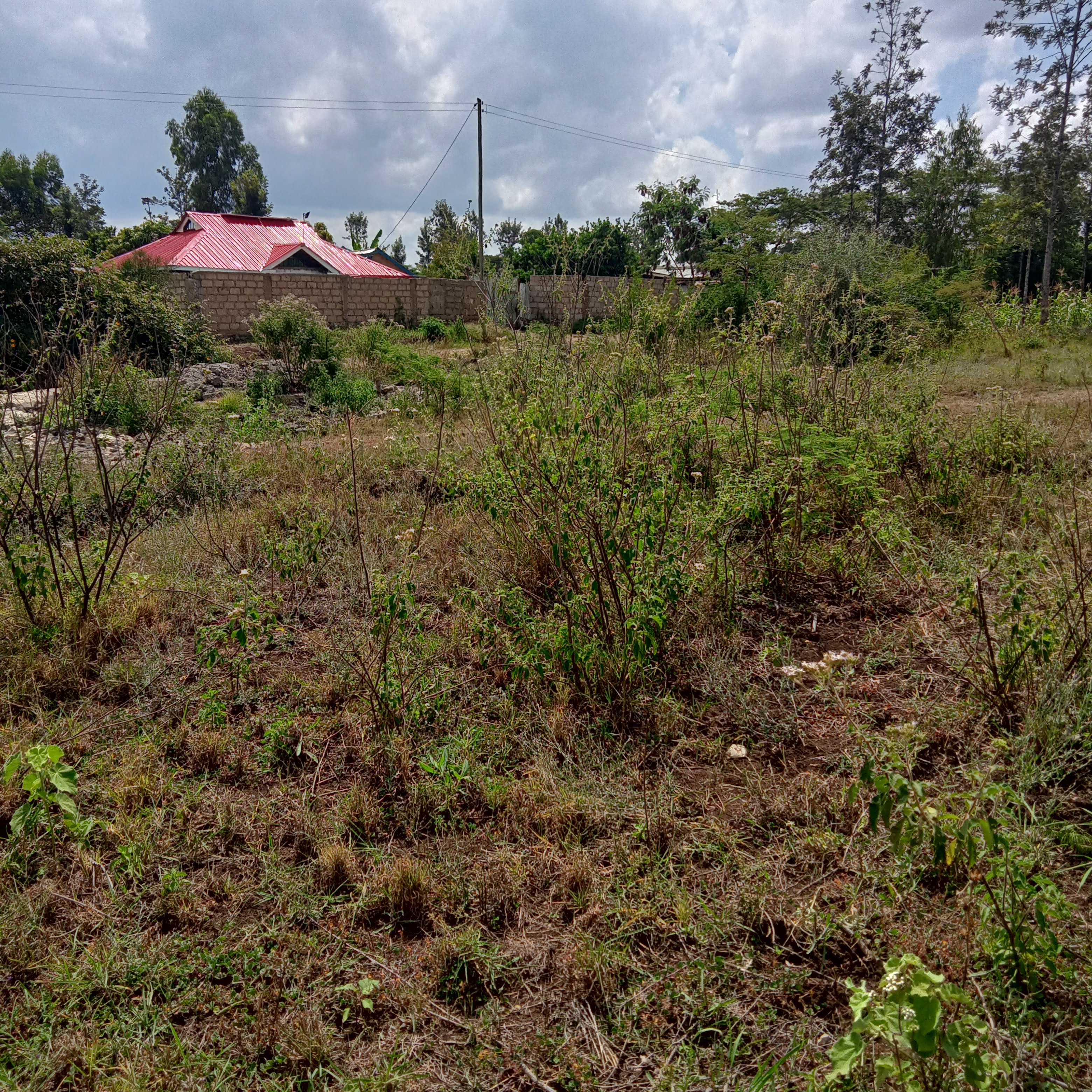 40*80ft plots at Kenol Kimorori at Kshs 520,000