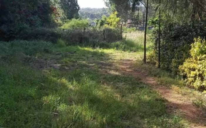 Karen land for sale 1/2 Half Acre Mokoyeti Ready Tittle Deed Exclusive!