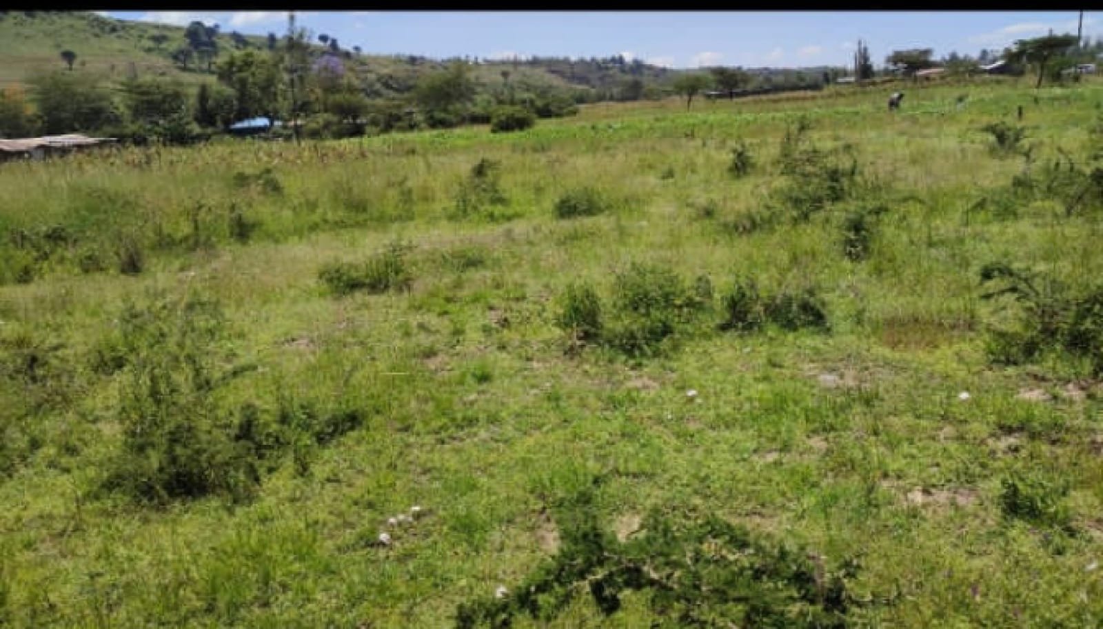 Near Nakuru International Airport 1/2 Acre Meririshwa Mbaruk Clean Tittle Deed Cheapest!