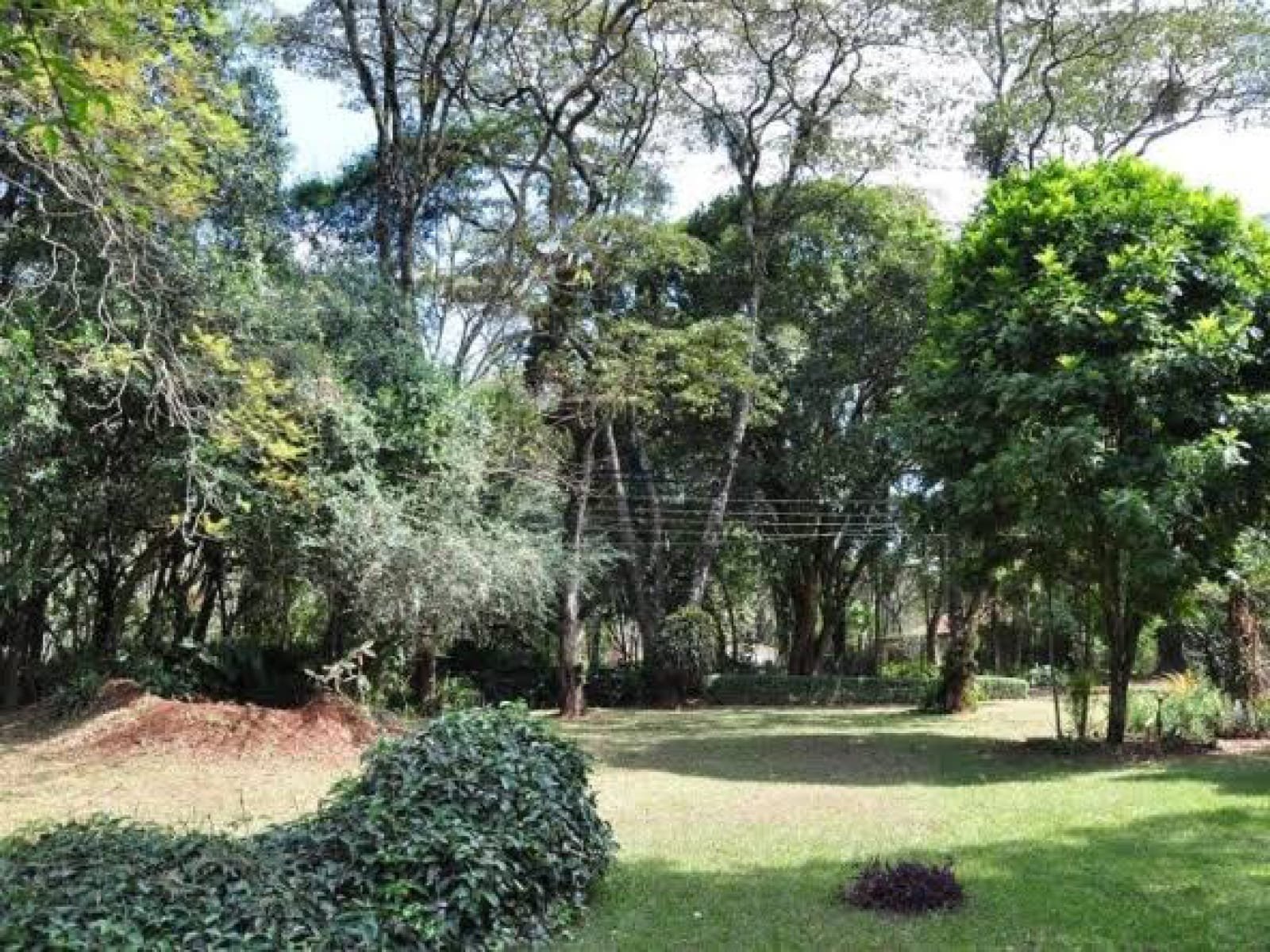 Karen land for sale 1.25 acres Giraffe Centre @65M for entire parcel Ready Title Deed QUICK SALE🔥