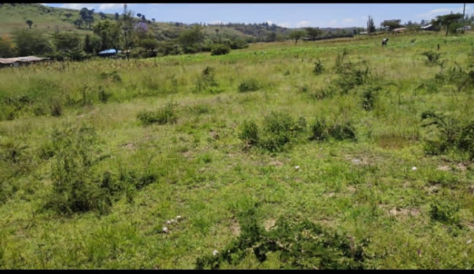 Near Nakuru International Airport 1/4 Acre PCEA Mbaruk  Clean Title Deed Cheapest