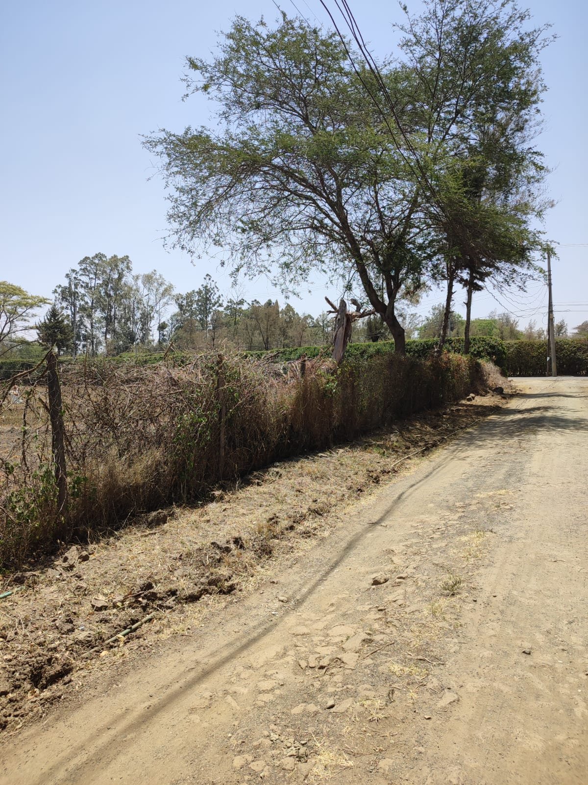 Karen land for sale 1 Acre Banda Ready Tittle Deed Exclusive!