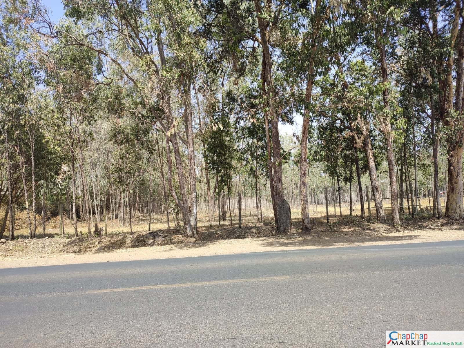 Karen Land for LEASE/RENT 1 ACRE Karen Close to Kenya School of Law🔥