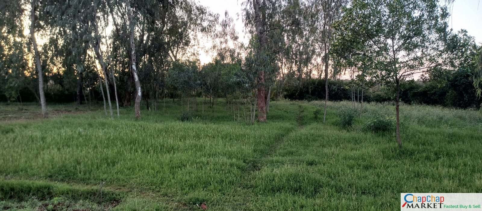 Karen Land for LEASE/RENT 1 ACRE Karen Close to Kenya School of Law🔥