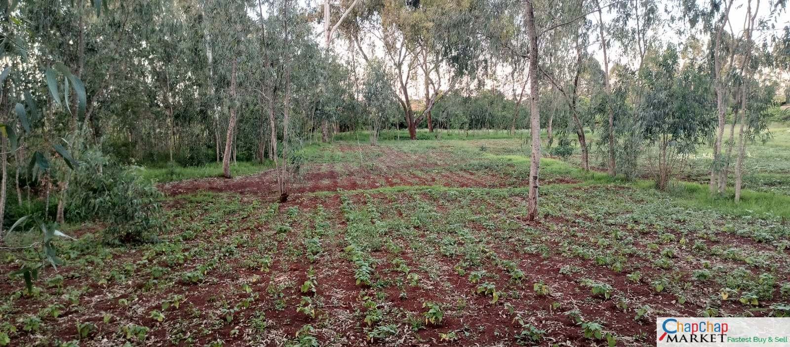 Karen Land for LEASE/RENT 1 ACRE Karen Close to Kenya School of Law🔥