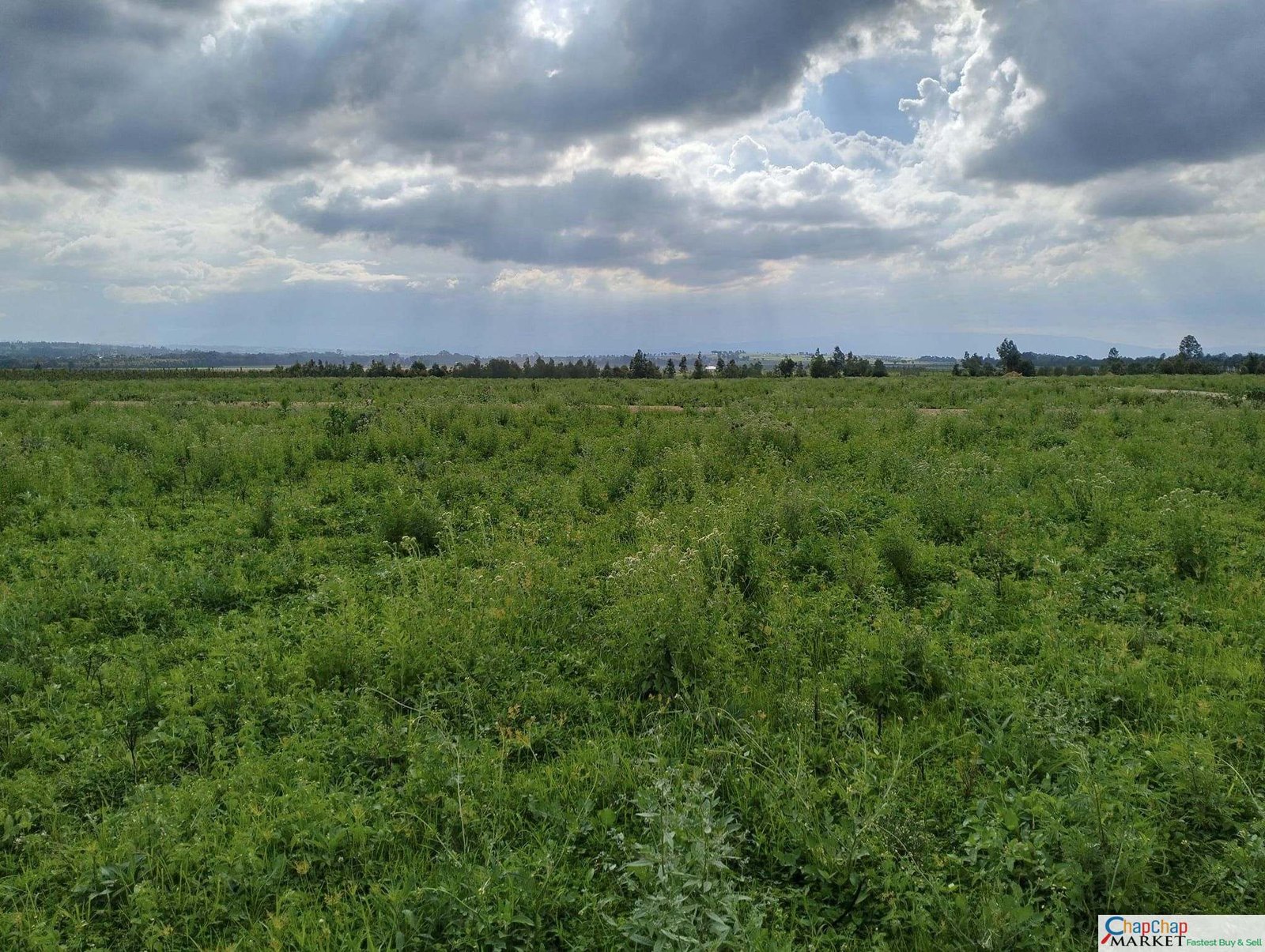 Ready to Build Plots Nakuru Ngata