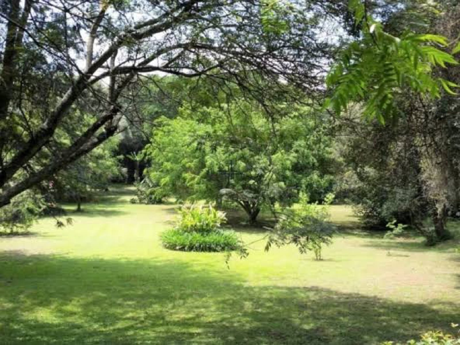 Land For Sale in Karen Forest Edge One 1 Acre 🔥 Ready clean title deed