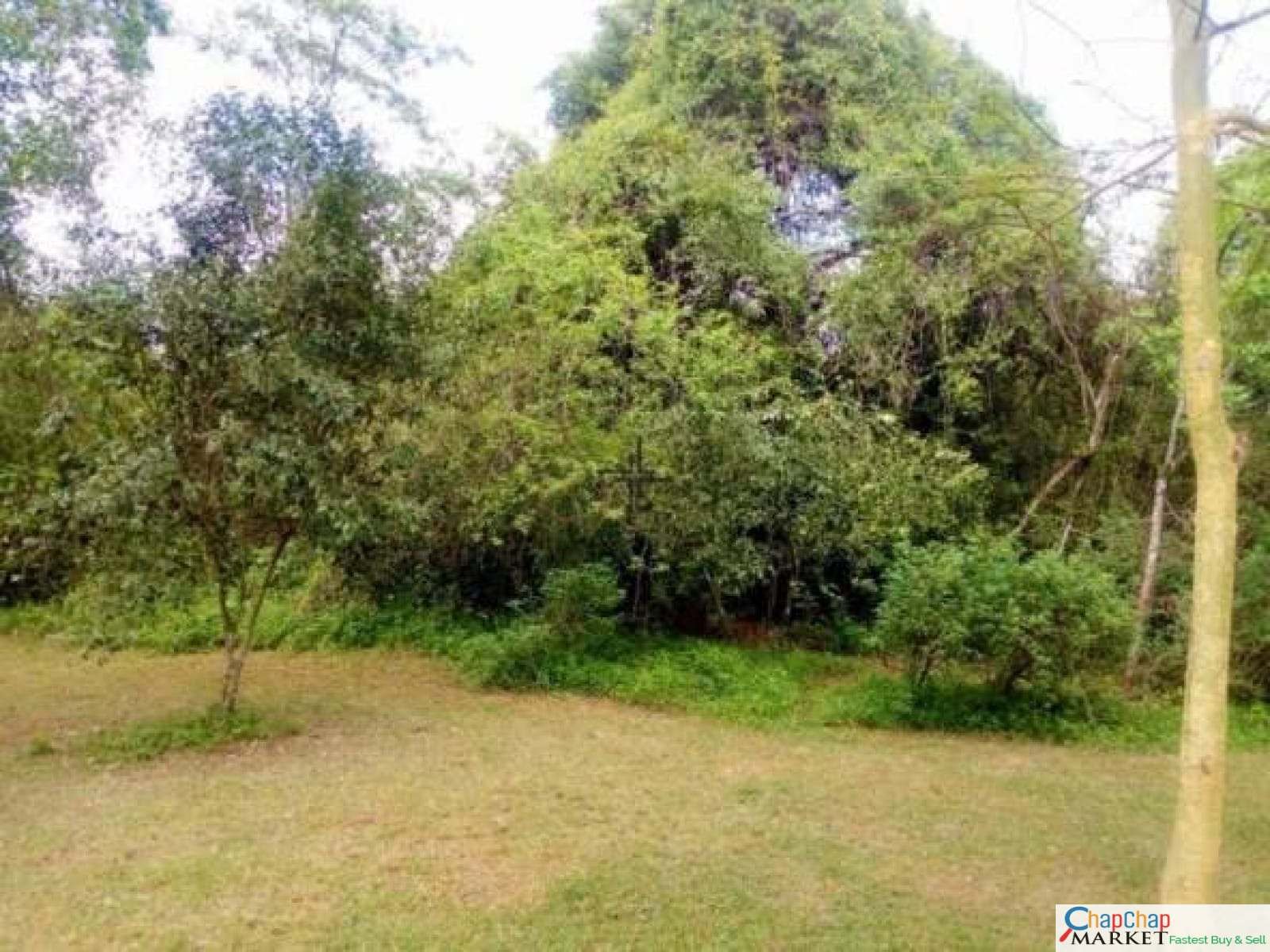 Land for sale in Karen Ready Title Deed QUICK SALE🔥1/2 acre gated Mokoyeti West Road half