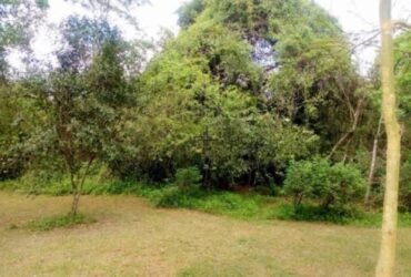 In Karen 🔥 QUICK SALE Land for sale in Karen Ready Title Deed QUICK SALE 1/2 acre Rhino Park Road 0.5 half Acre