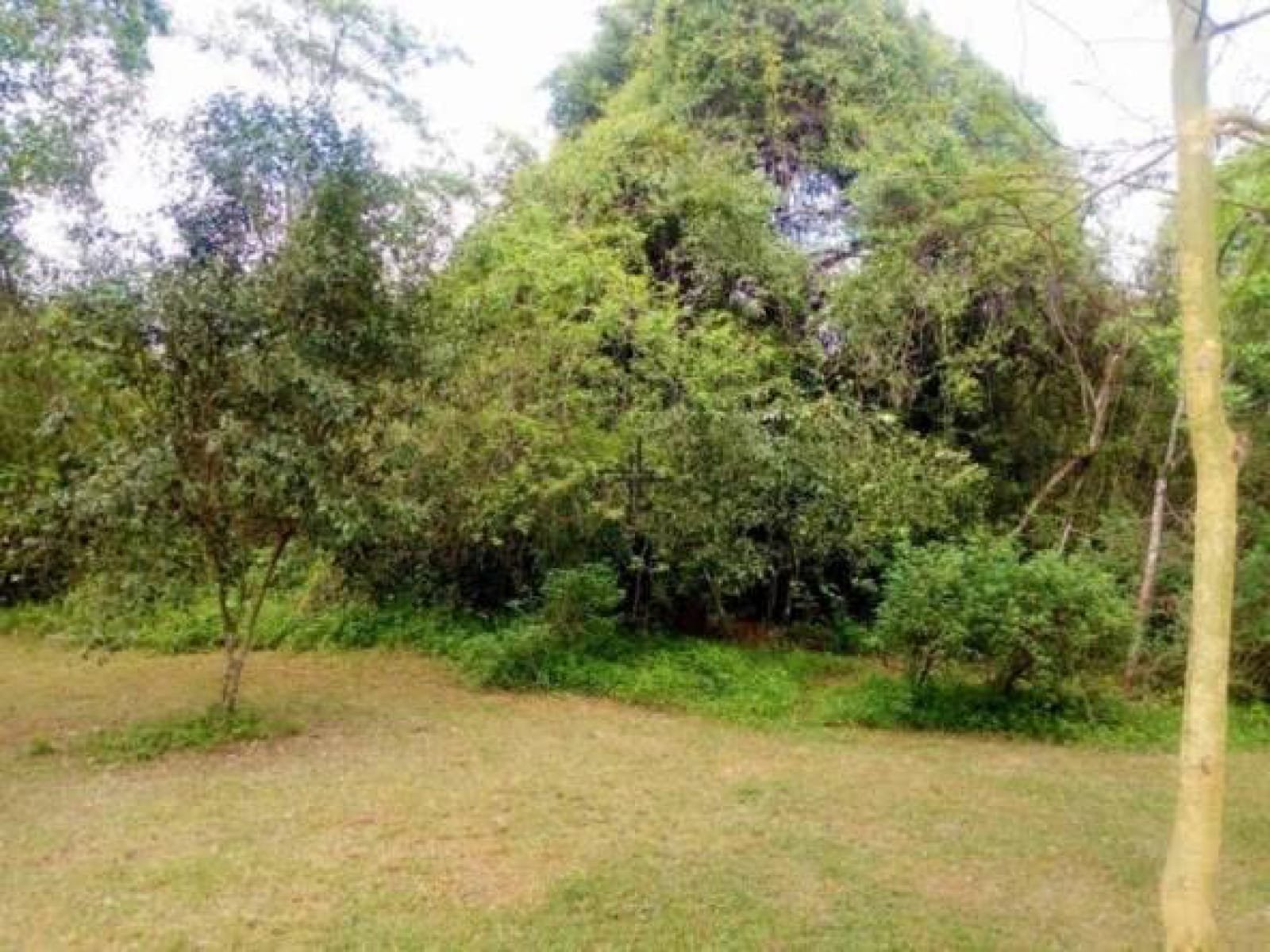 Real Estate Land For Sale-In Karen 🔥 QUICK SALE Land for sale in Karen Ready Title Deed QUICK SALE 1/2 acre Rhino Park Road 0.5 half Acre 6