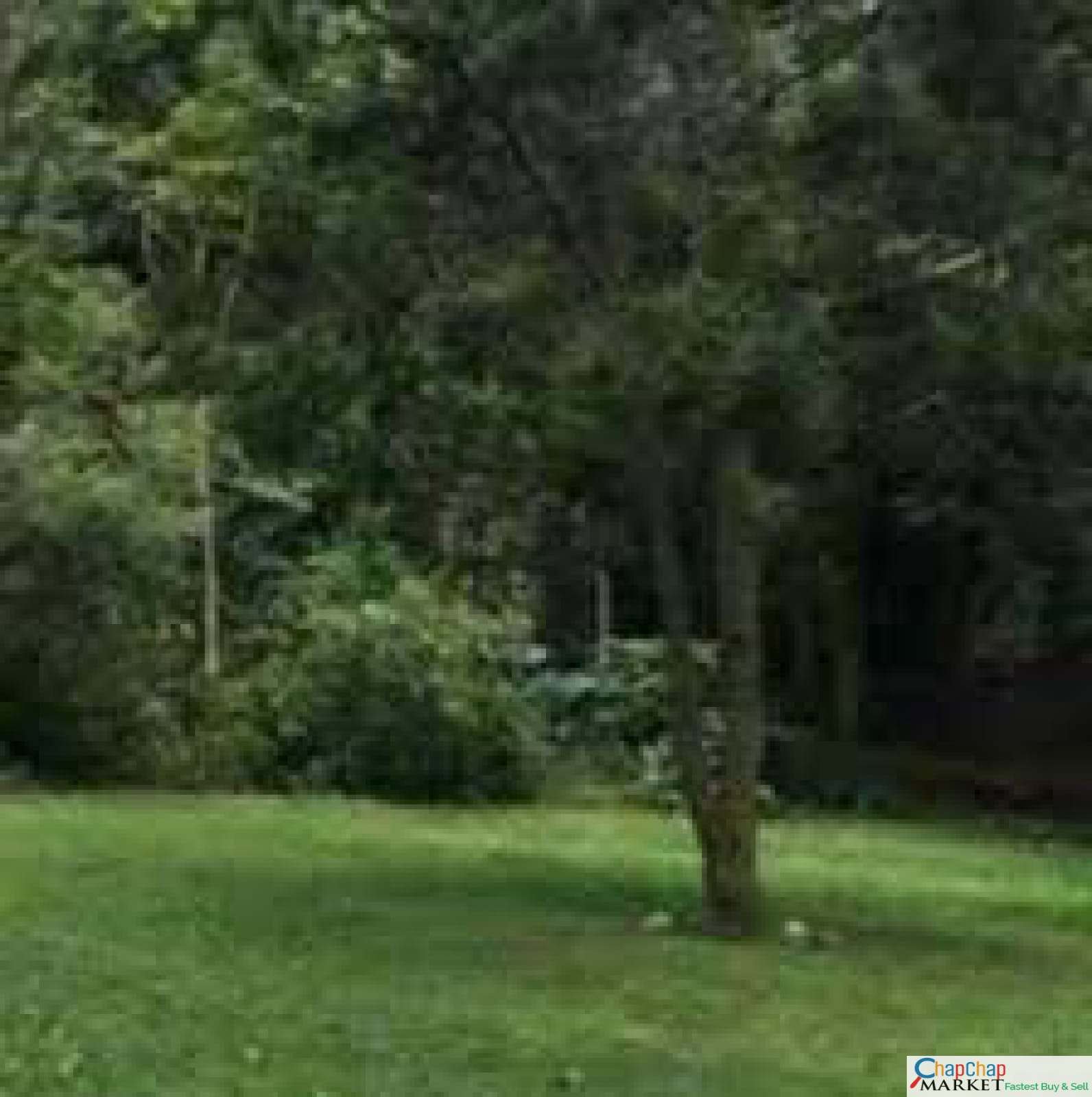 Land for sale in Karen Ready Title Deed QUICK SALE🔥 1/2 acre 0.5 Hardy