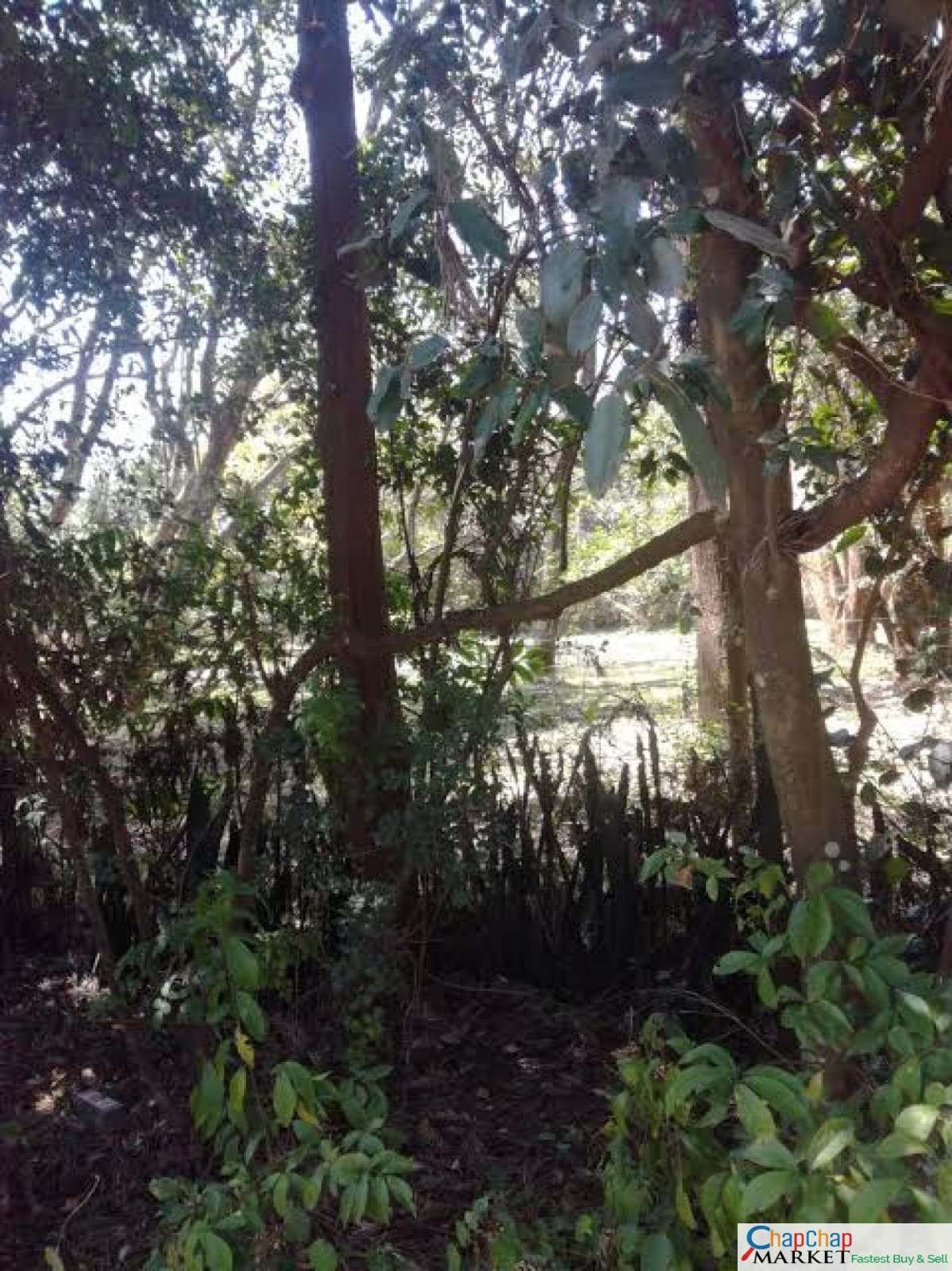 Land for sale in Karen Ready Title Deed QUICK SALE🔥 1/2 acre 0.5 Hardy