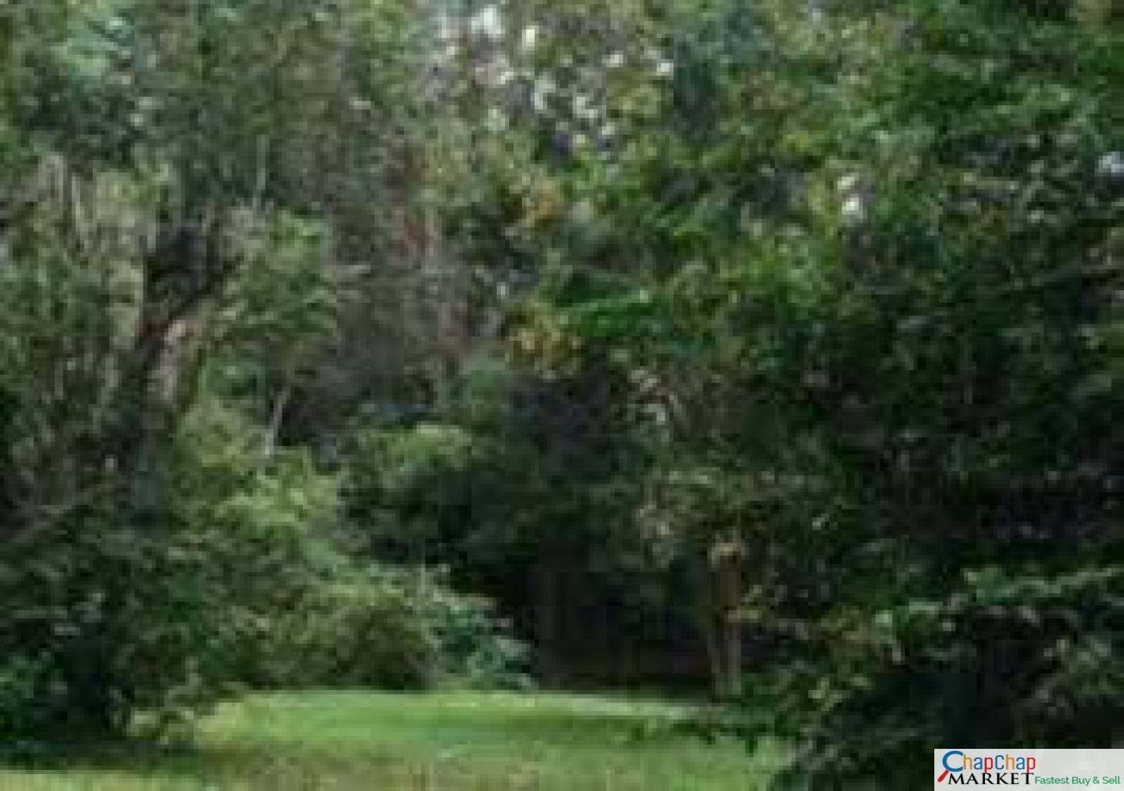 Karen land for sale 1/2 acre 0.5 Fairacres Road fair acres Ready Title Deed QUICK SALE