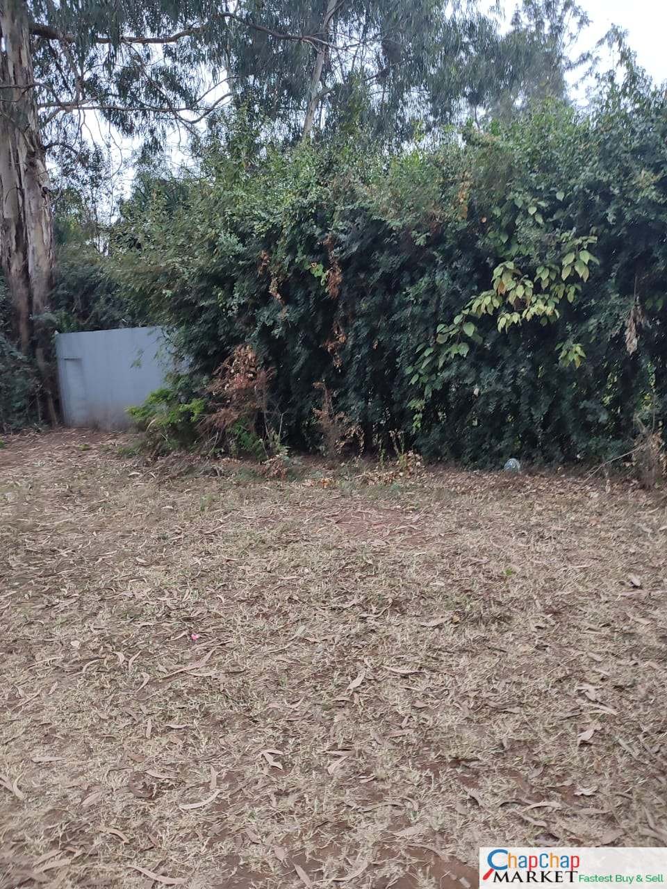 Land for sale in Karen Ready Title Deed QUICK SALE 1/2 0.5 Marula Lane 🔥