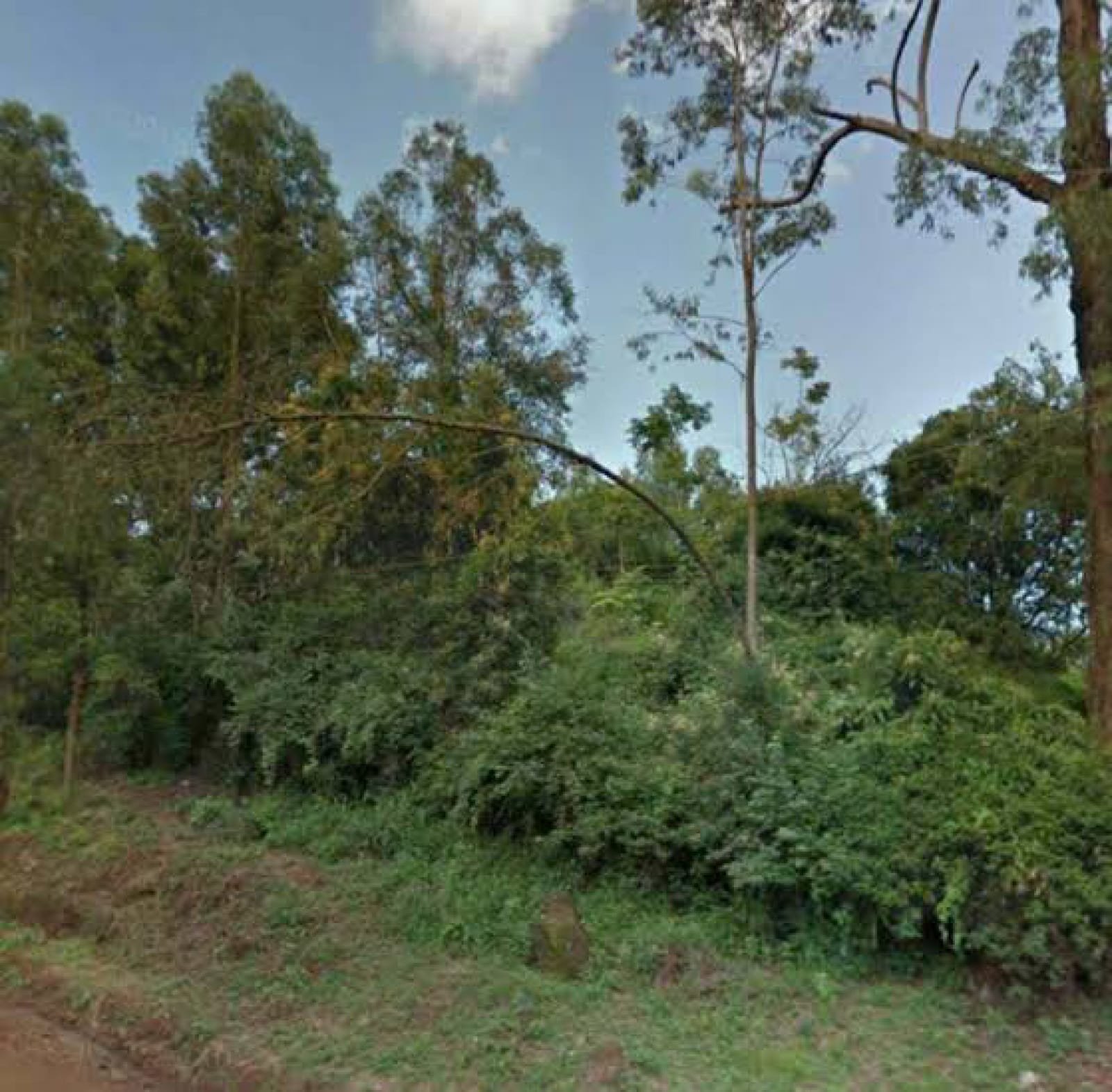 Land for sale in Karen Ready Title Deed QUICK SALE 1/2 0.5 Marula Lane 🔥