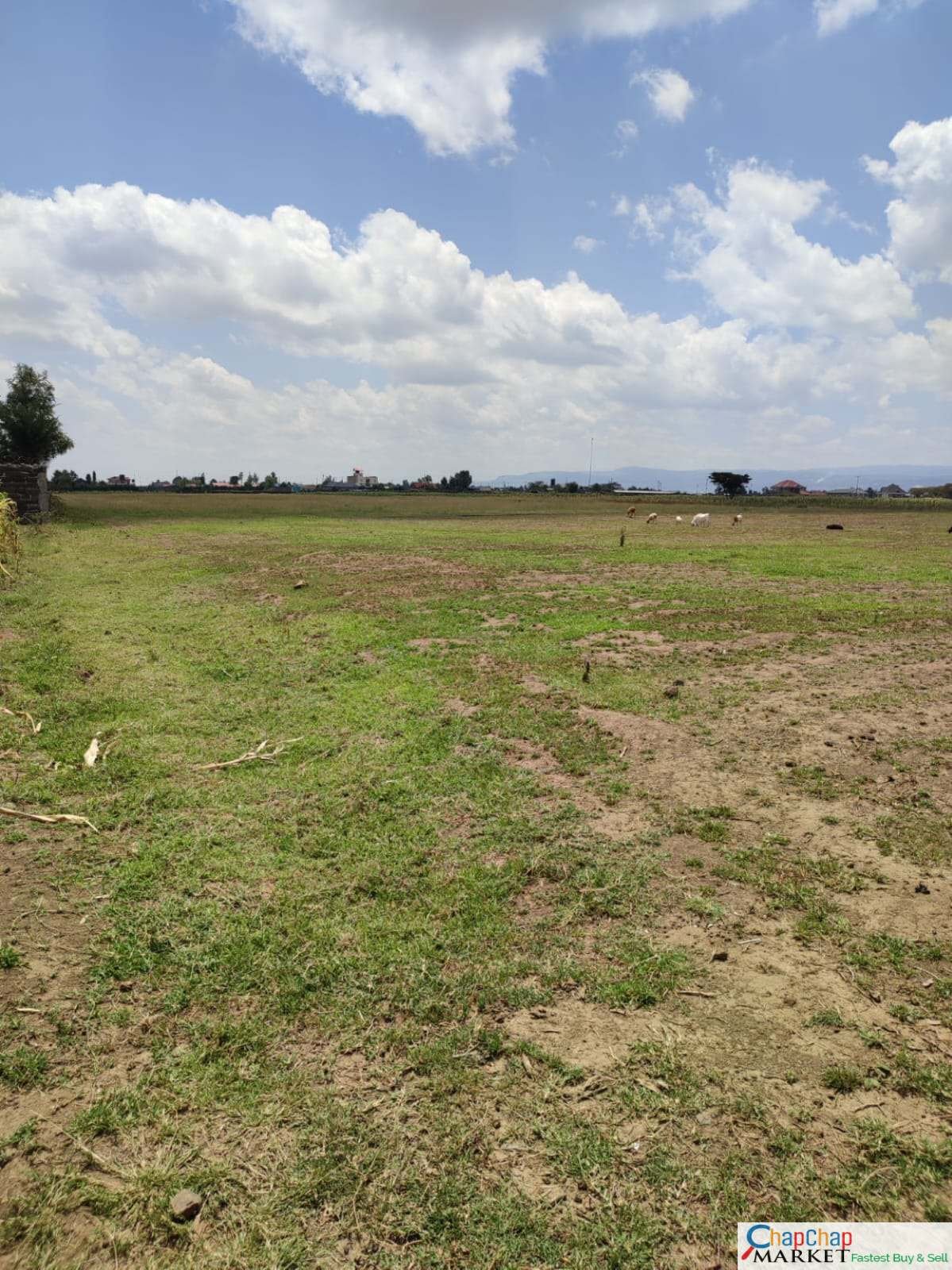 Land for Sale in Nakuru 3 acres for sale Eastgate Nakuru QUICK SALE Clean Title Deed