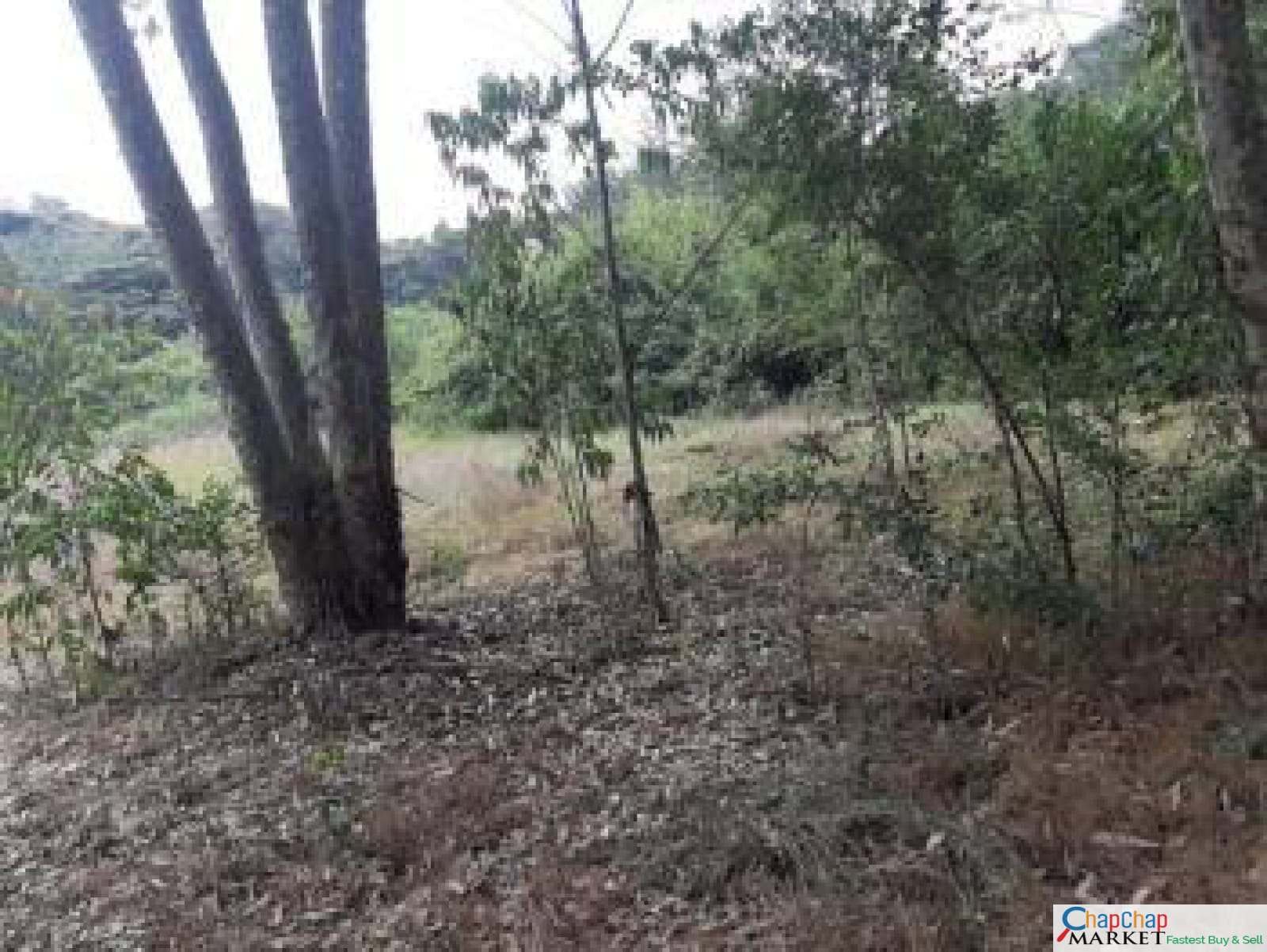 Land for sale in Karen Ready Title Deed QUICK SALE 🔥1/2 acre Karen Hardy