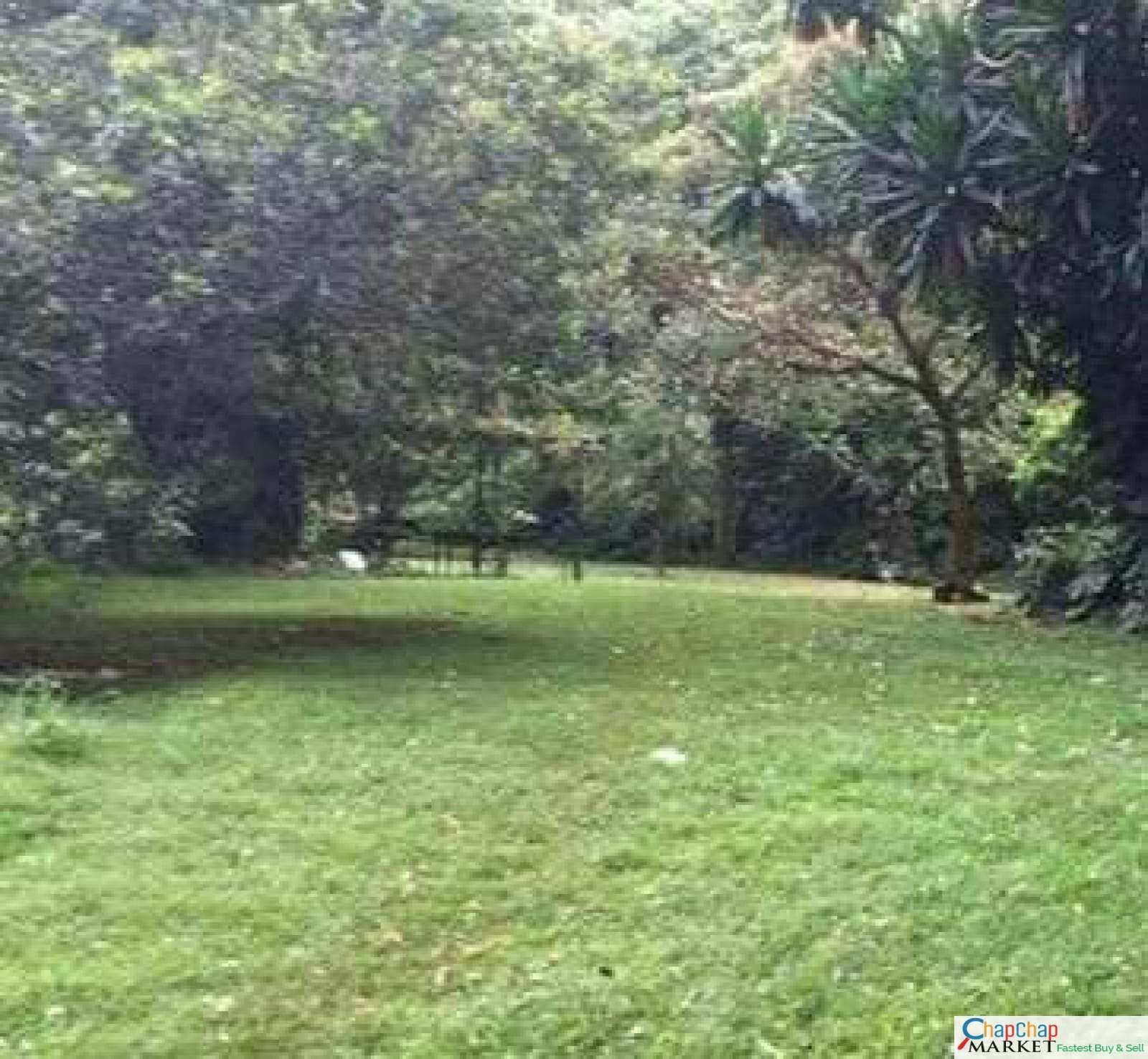 Land for sale in Karen Ready Title Deed QUICK SALE 🔥1/2 acre Karen Hardy