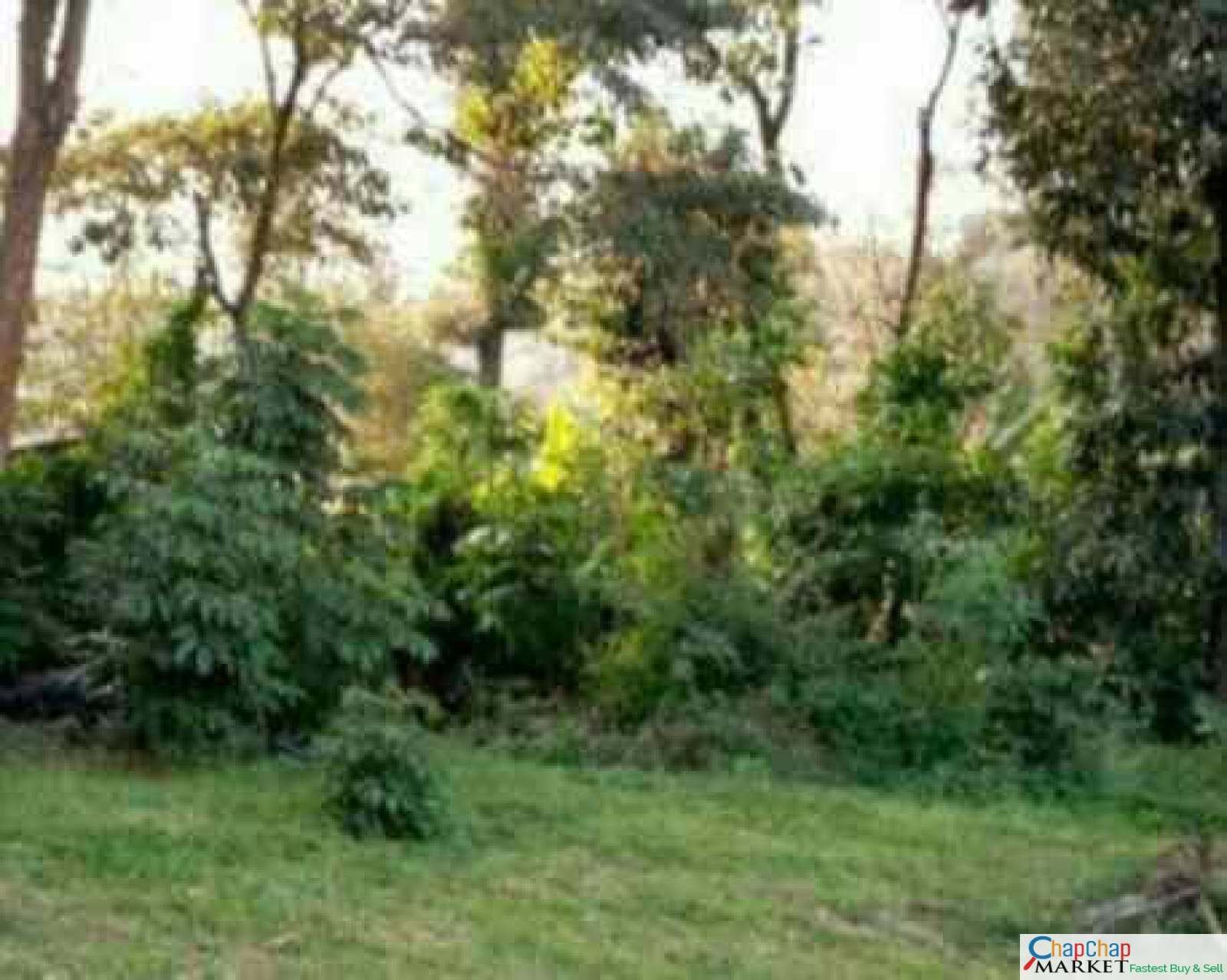 Land for sale in Karen Ready Title Deed QUICK SALE 🔥1/2 acre Karen Hardy