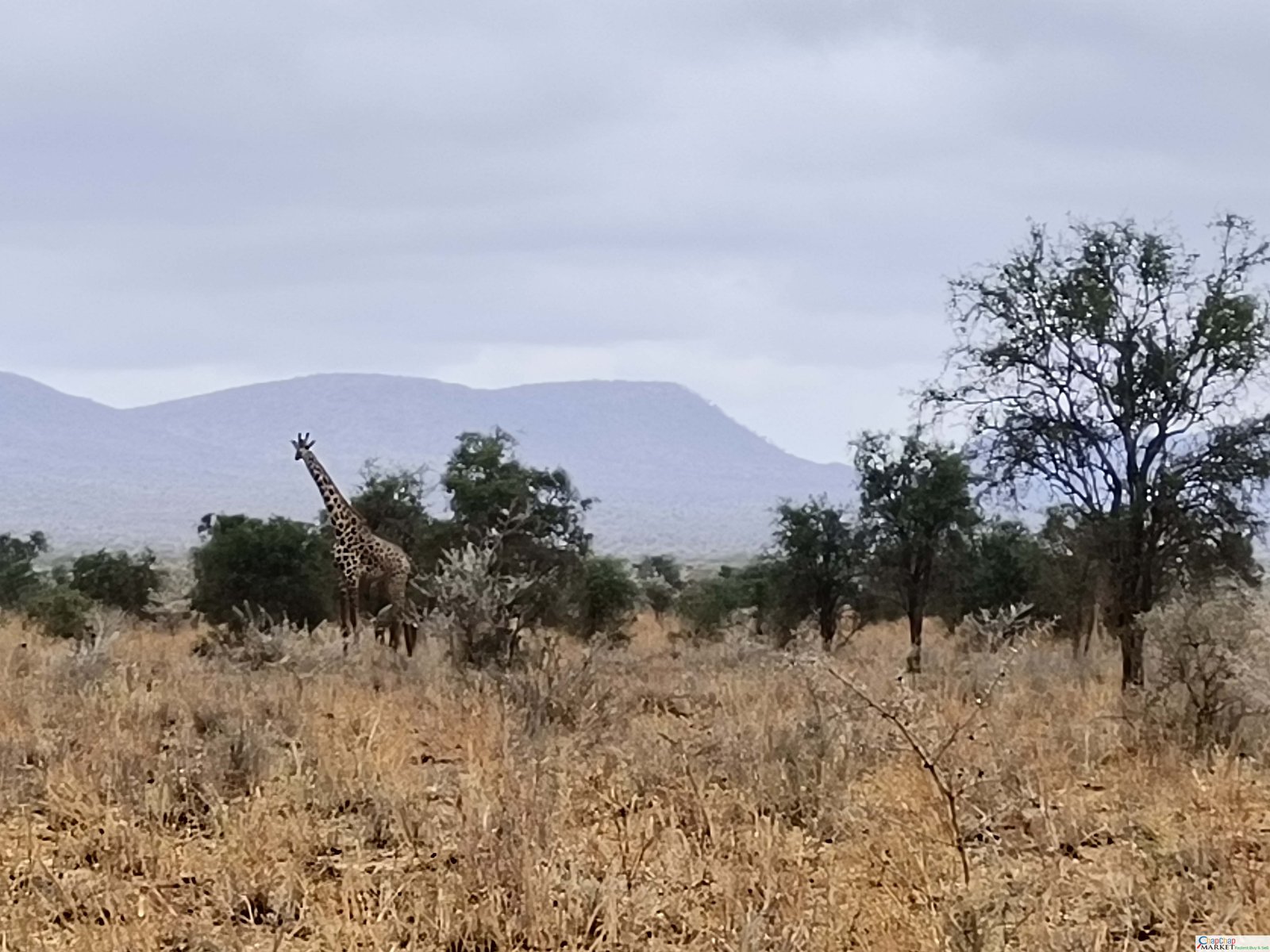 150acres in Maili Tisa Kajiado