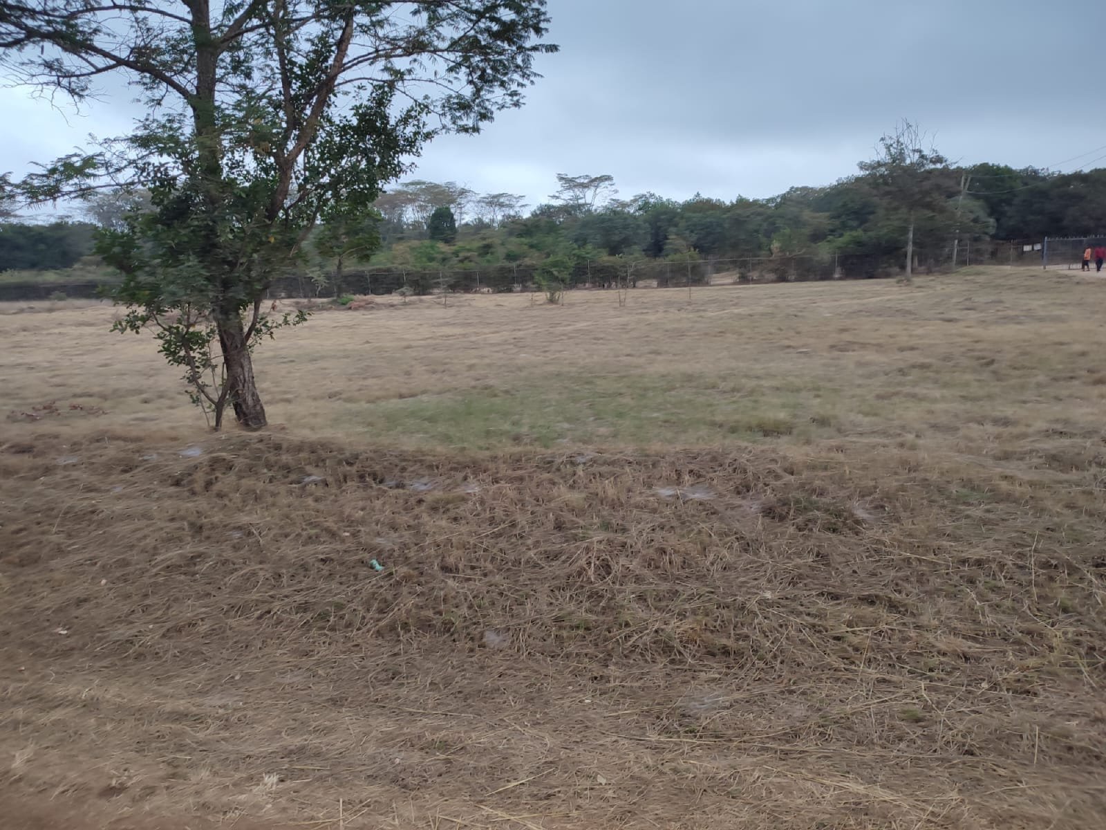 List of 100 Land For Sale In Karen Kenya Ready Clean Title Deed, House For Sale and Rent BEST PRICES acre Acres