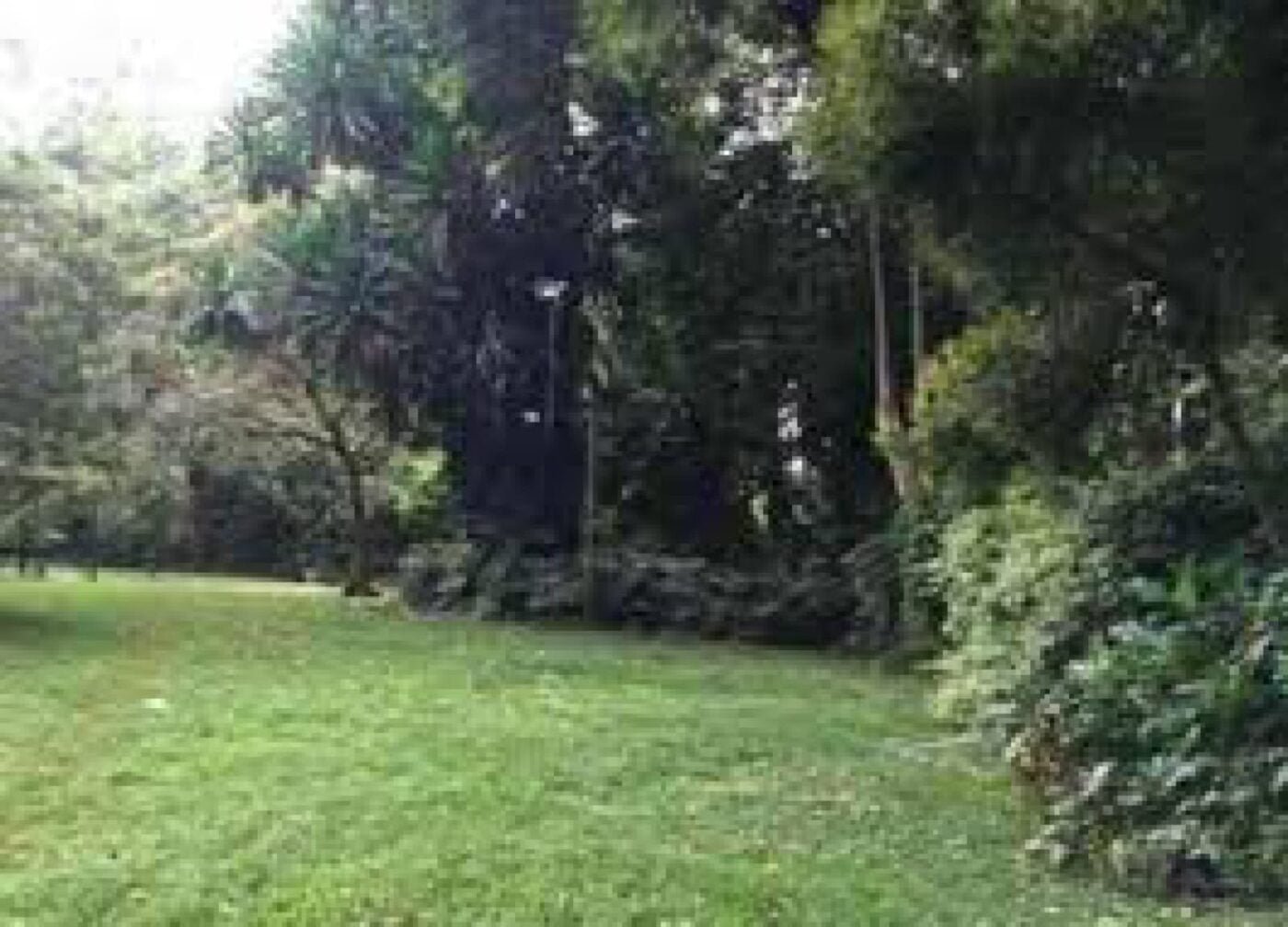 Land for sale in Karen Ready Title Deed QUICK SALE 1/2 acre Catholic University🔥1/2 acre near CUEA university