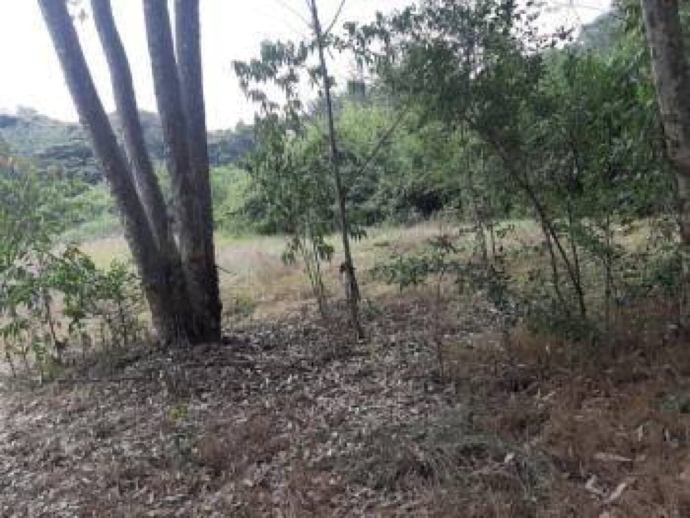 Land for sale in Karen Ready Title Deed QUICK SALE 1/2 acre Catholic University🔥1/2 acre near CUEA university