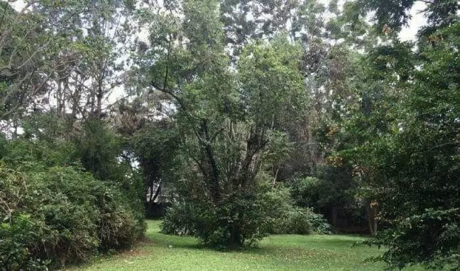 Land for sale in Karen Ready Title Deed QUICK SALE 1/2 0.5 acre bomas Karen Exclusive 🔥