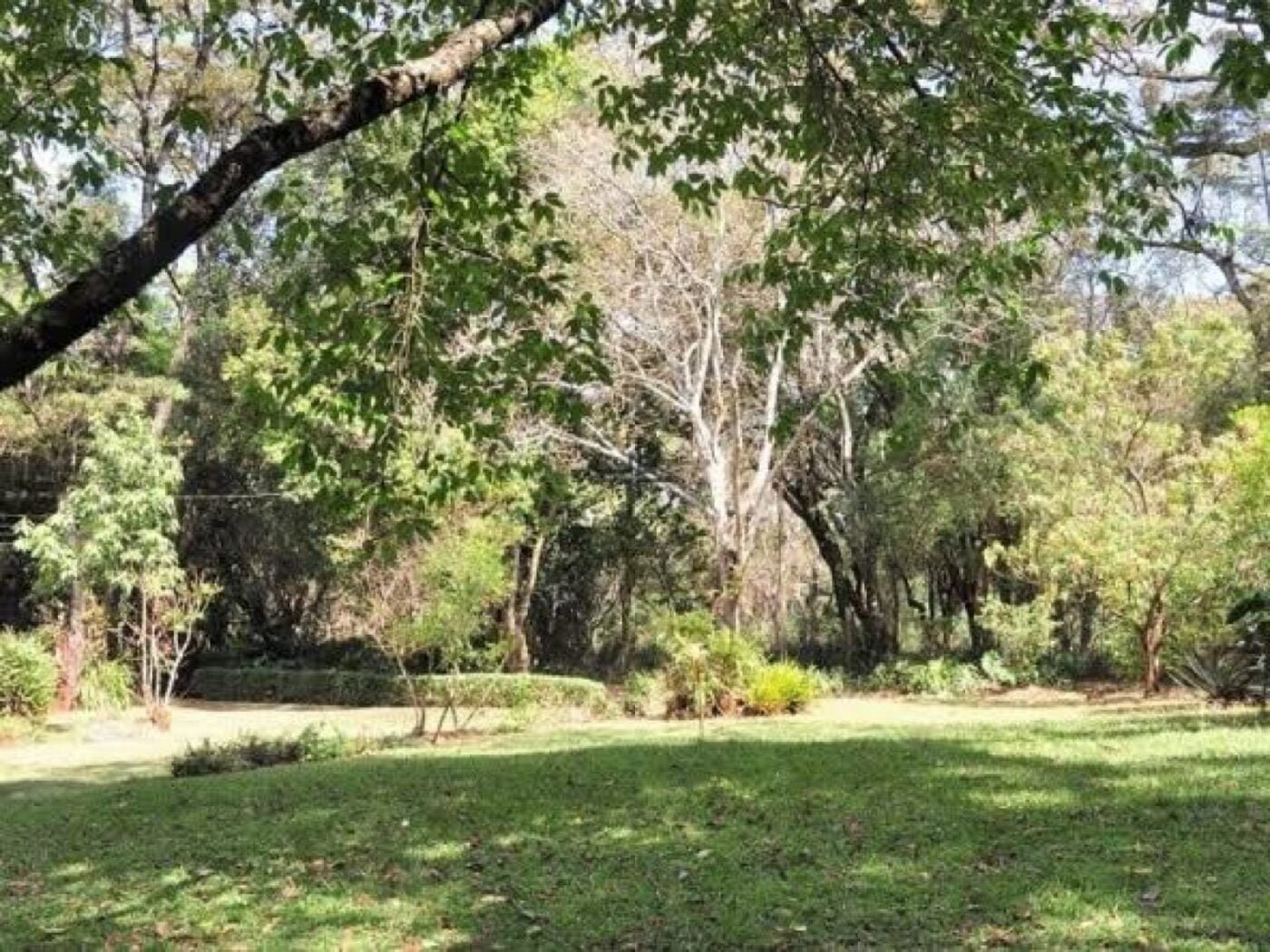 Land for sale in Karen Ready Title Deed QUICK SALE 1/2 acre Catholic University🔥1/2 acre near CUEA university