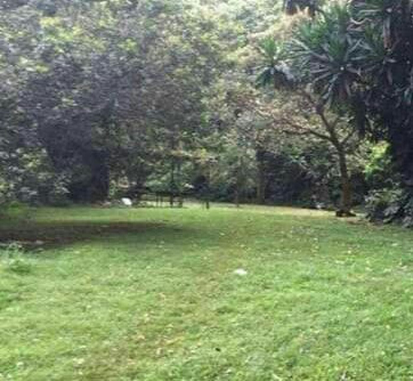 Land for sale in Karen Ready Title Deed QUICK SALE 1/2 acre Catholic University🔥1/2 acre near CUEA university