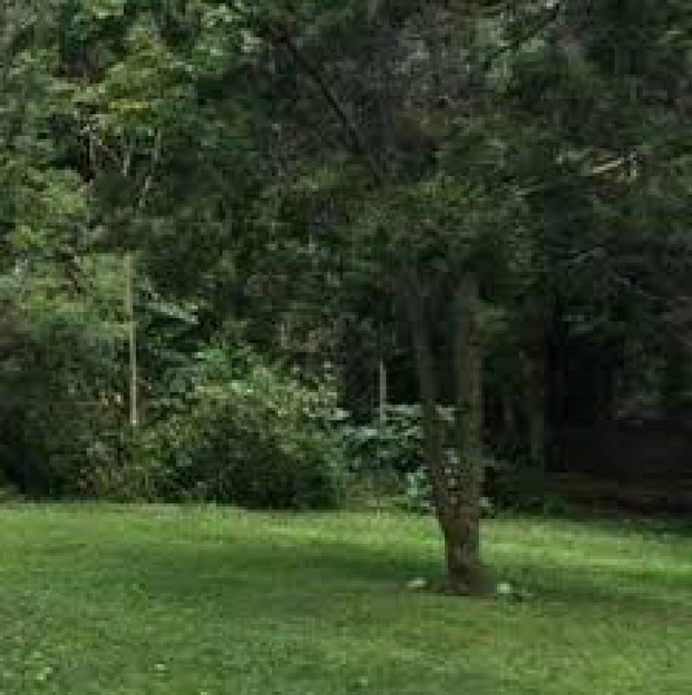 Land for sale in Karen Ready Title Deed QUICK SALE 1/2 acre Catholic University🔥1/2 acre near CUEA university