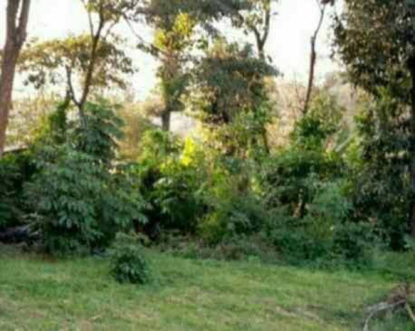 Land for sale in Karen Ready Title Deed QUICK SALE 1/2 acre Catholic University🔥1/2 acre near CUEA university