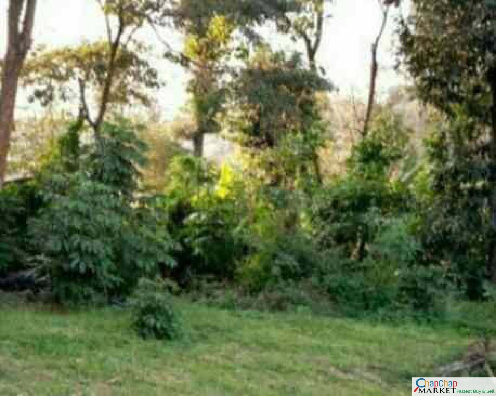 Land For Sale Real Estate-Land for sale in Karen Mokoyeti behind stedmak Half Acre each Ready Title Deed QUICK SALE 1/2 0.5 acre Exclusive 🔥 10