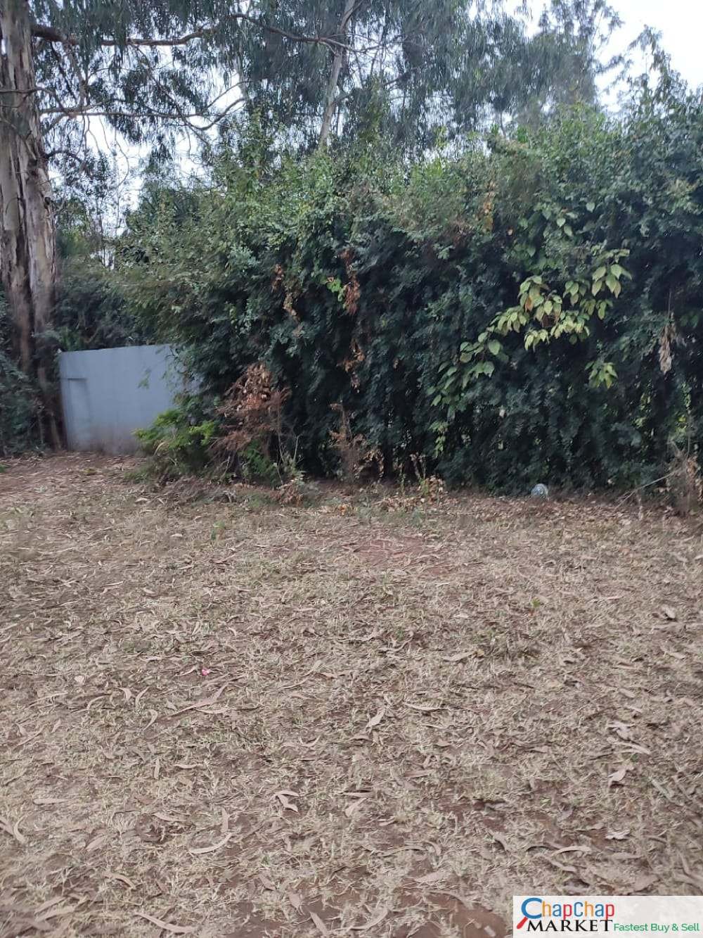 Land For Sale Real Estate-Land for sale in Karen Mokoyeti behind stedmak Half Acre each Ready Title Deed QUICK SALE 1/2 0.5 acre Exclusive 🔥 6