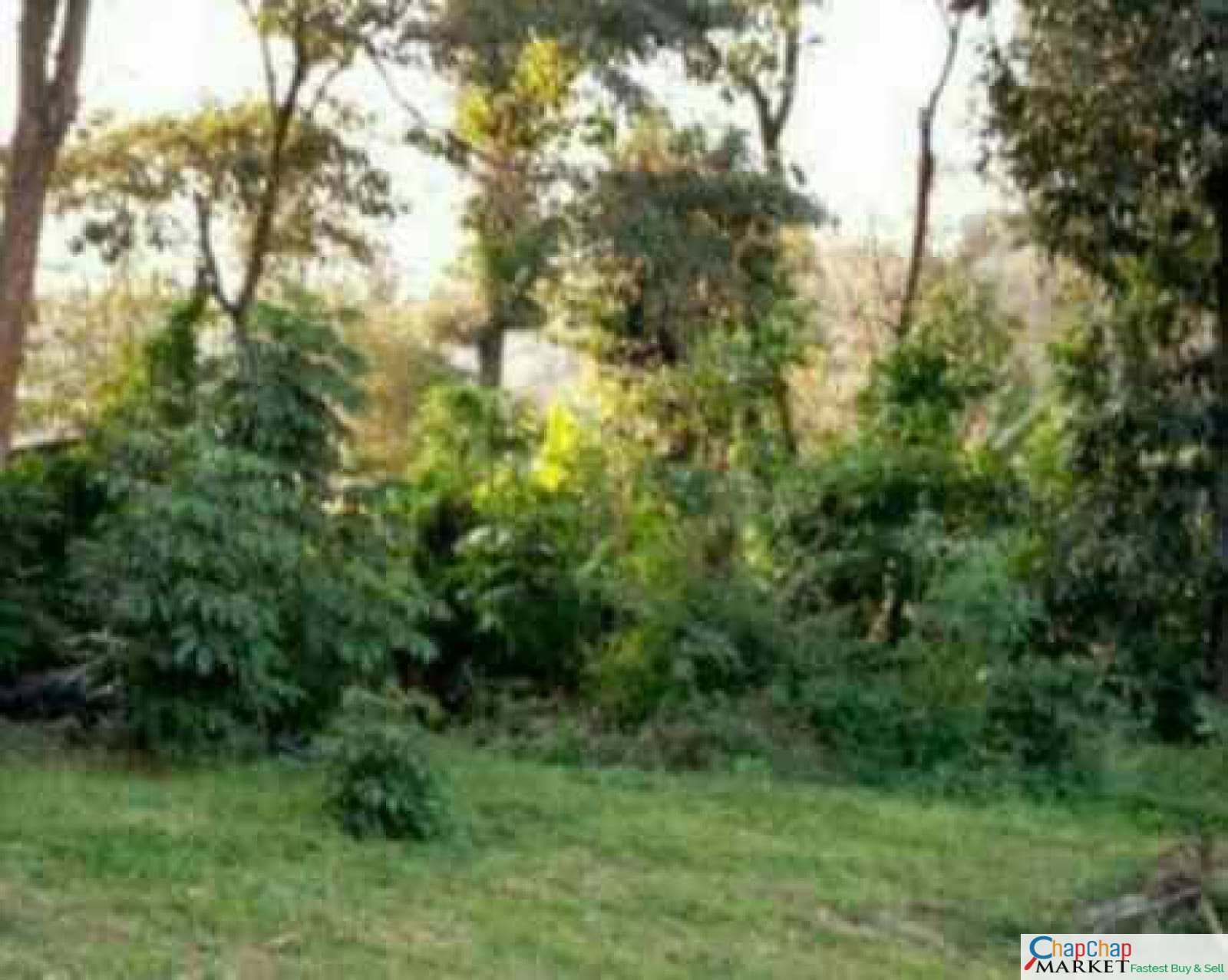 Land For Sale Real Estate-Land for sale in Karen Mokoyeti behind stedmak Half Acre each Ready Title Deed QUICK SALE 1/2 0.5 acre Exclusive 🔥 8