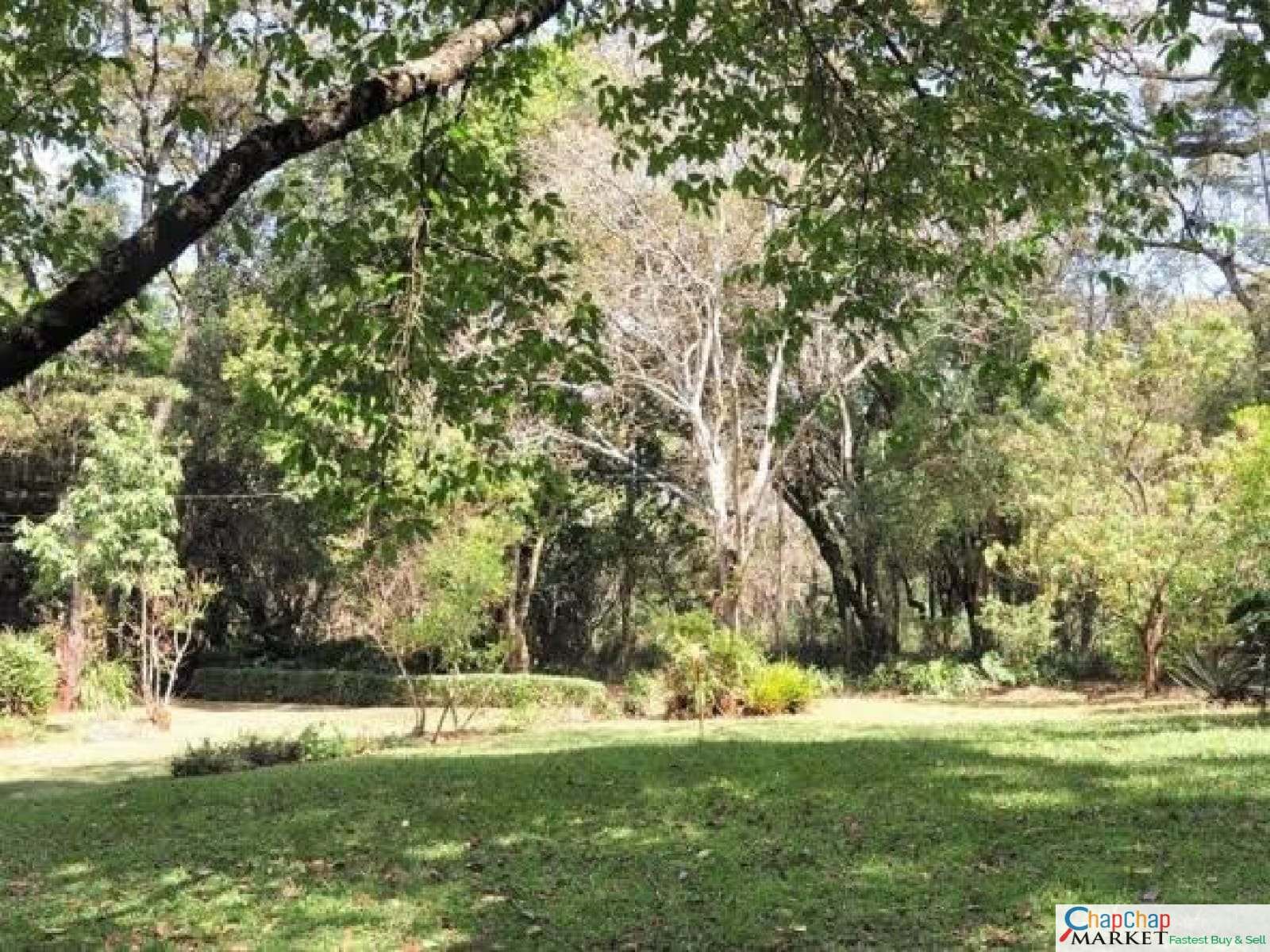 Land For Sale Real Estate-Land for sale in Karen Brooks 1/2 Acre Ready Title Deed QUICK SALE Exclusive half acre 0.5🔥 6