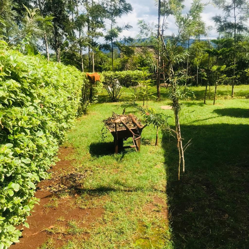 QUICK SALE 1 One Acre With a 3 Bedroom House Ready Clean Title Deed for sale in thika makongeni near MKU Graduation grounds