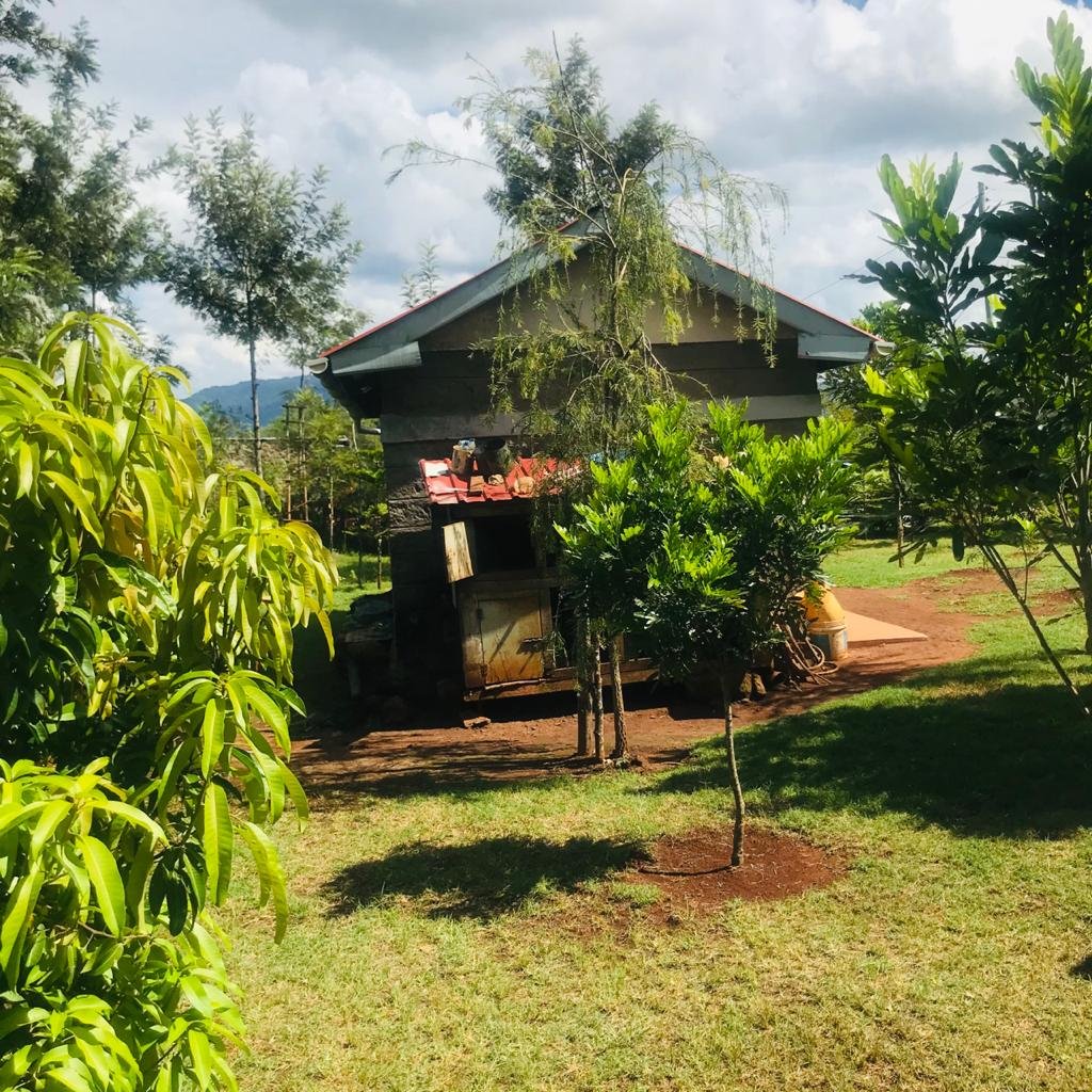 QUICK SALE 1 One Acre With a 3 Bedroom House Ready Clean Title Deed for sale in thika makongeni near MKU Graduation grounds