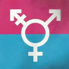 Cars For Sale-Join newest Trans telegram today 5