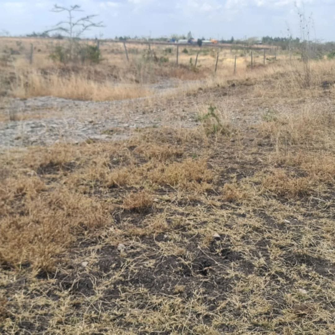 300k Only QUICK SALE 50×100 land for sale in a fast growing Mavoko area