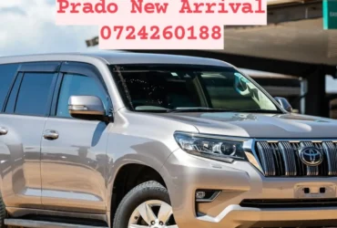 Toyota Land-Cruiser Prado New shape New Arrival Fully loaded QUICK SALE You Pay 30% Deposit Hire purchase installments HP UpTo 70% financing/finance NO CRB STATUS CHECK Trade in OK Bronze 2019